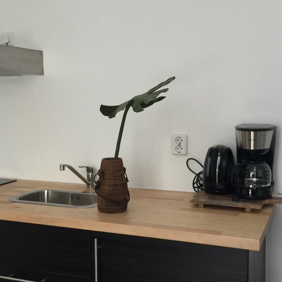 Appartementen Zeespiegel ซานด์โวร์ต ภายนอก รูปภาพ
